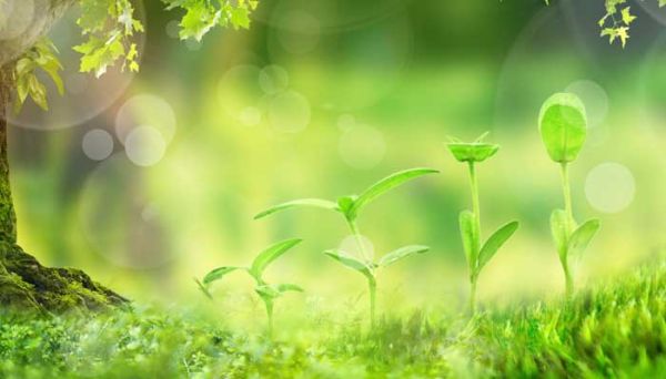 保护草地的警示语 保护草地的警示语有哪些