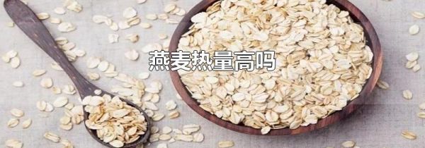 燕麦热量高吗