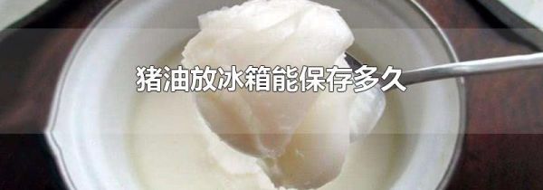 猪油放冰箱能保存多久