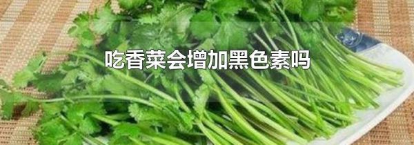 吃香菜会增加黑色素吗