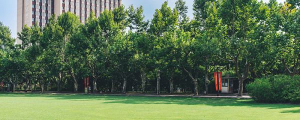 985211是什么意思 211大学和985大学是什么意思