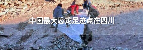 中国最大恐龙足迹点在四川