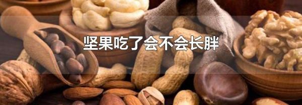 坚果吃了会不会长胖