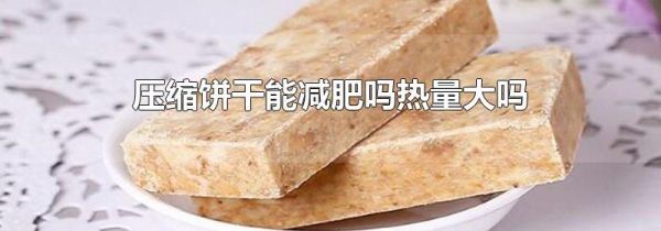压缩饼干能减肥吗热量大吗