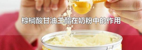 棕榈酸甘油三酯在奶粉中的作用