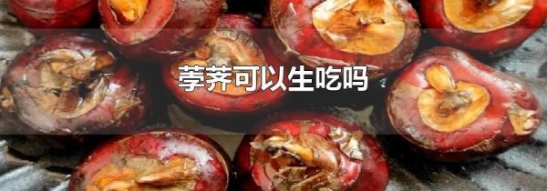 荸荠可以生吃吗