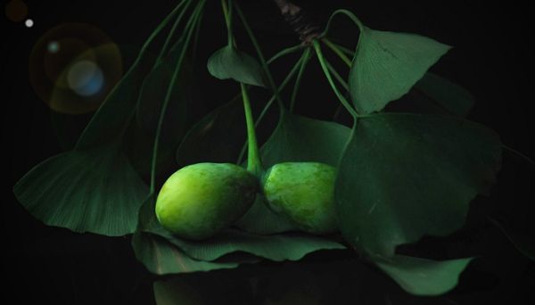 银杏可以生吃吗 银杏果能不能生吃