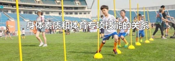 身体素质和体育专项技能的关系