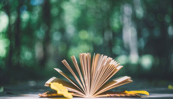 文化遗产日图标的含义 文化遗产保护图标的内容