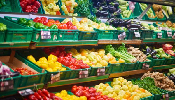 酵母菌是真菌还是细菌 酵母菌是真菌是细菌