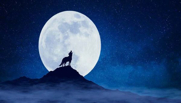 月亮的美称雅号 月亮的美称雅号有哪些