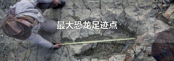 最大恐龙足迹点