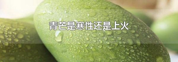 青芒是寒性还是上火
