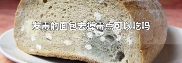 发霉的面包去掉霉点可以吃吗