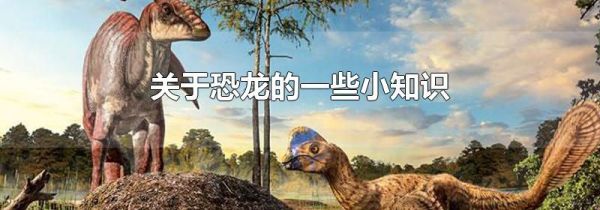 关于恐龙的一些小知识