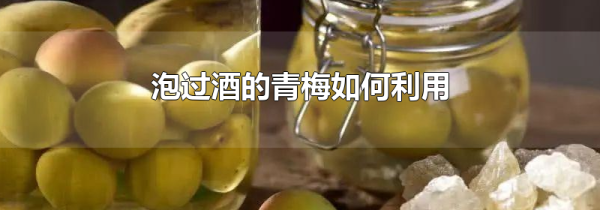泡过酒的青梅如何利用