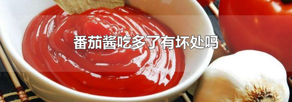 番茄酱吃多了有坏处吗