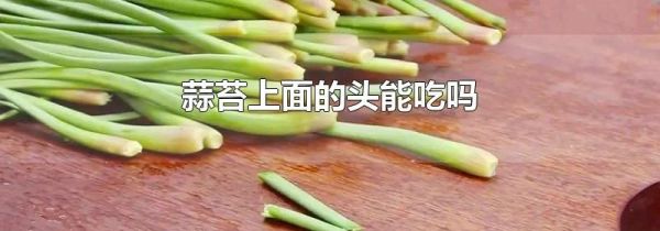 蒜苔上面的头能吃吗