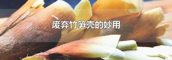 废弃竹笋壳的妙用