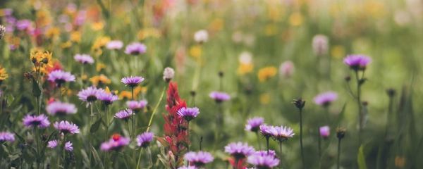 非主流网名繁体字 推荐非主流网名
