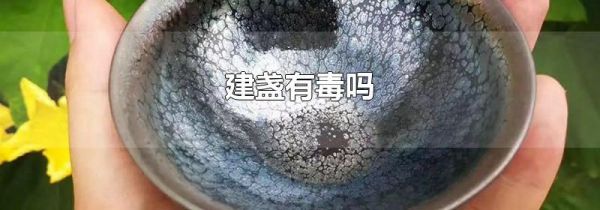 建盏有毒吗