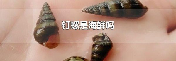 钉螺是海鲜吗
