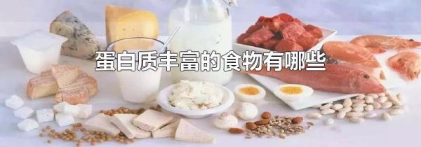 蛋白质丰富的食物有哪些