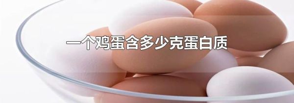 一个鸡蛋含多少克蛋白质