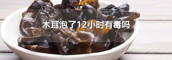 木耳泡了12小时有毒吗