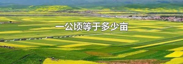 一公顷等于多少亩