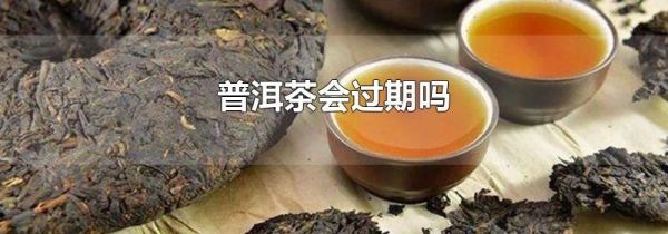 普洱茶会过期吗