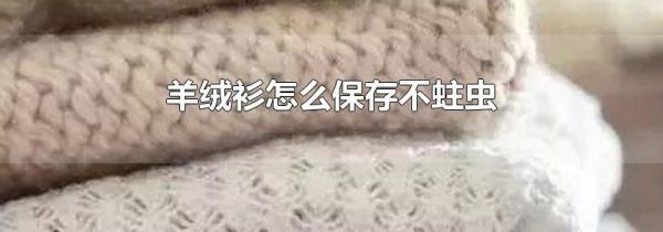 羊绒衫怎么保存不蛀虫