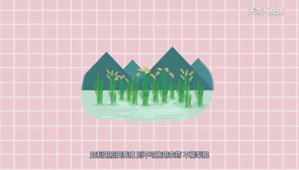 螺蛳是胎生还是卵生  螺蛳是胎生还是卵生