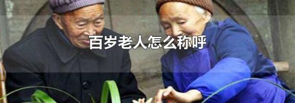 百岁老人怎么称呼