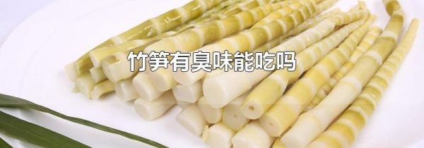 竹笋有臭味能吃吗