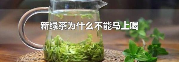新绿茶为什么不能马上喝