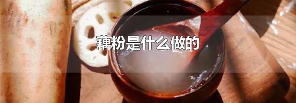 藕粉是什么做的