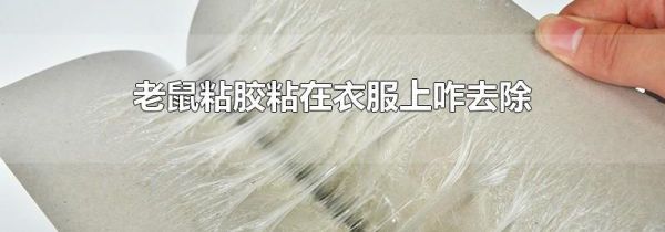 老鼠粘胶粘在衣服上咋去除