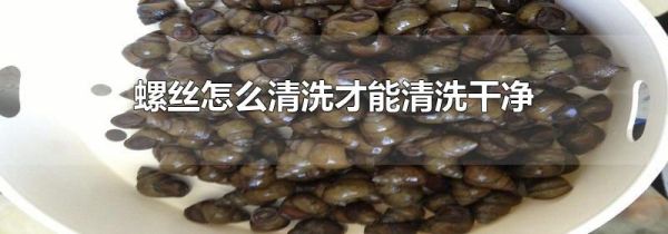 螺丝怎么清洗才能清洗干净
