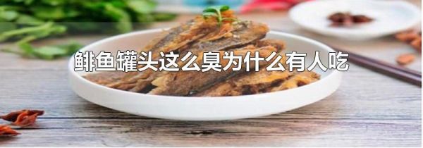 鲱鱼罐头这么臭为什么有人吃