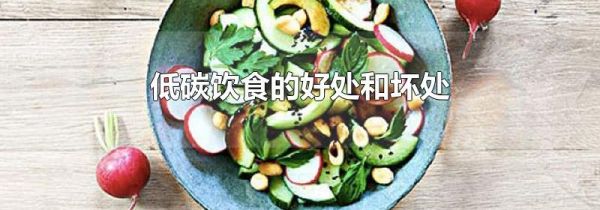 低碳饮食的好处和坏处