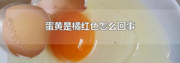 蛋黄是橘红色怎么回事