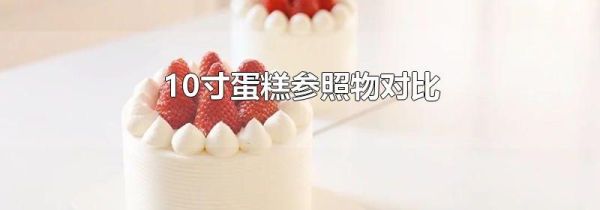 10寸蛋糕参照物对比