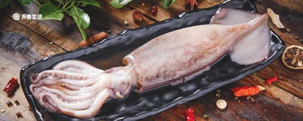 小鱿鱼用不用去内脏 小鱿鱼要不要去内脏