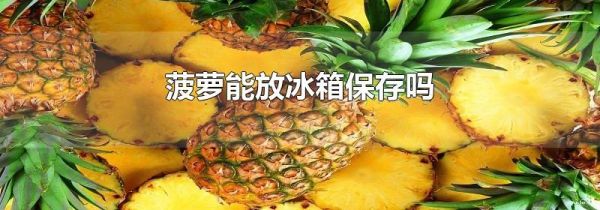 菠萝能放冰箱保存吗
