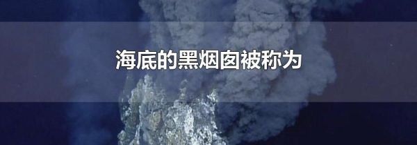 海底的黑烟囱被称为