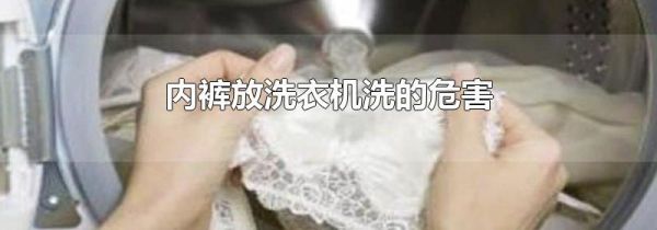 内裤放洗衣机洗的危害