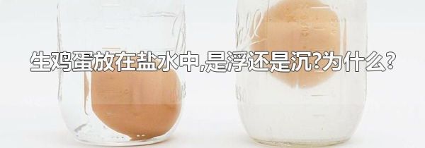 生鸡蛋放在盐水中,是浮还是沉?为什么?