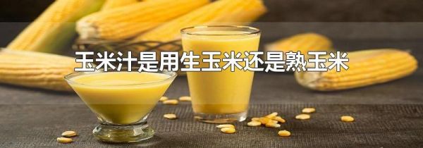 玉米汁是用生玉米还是熟玉米