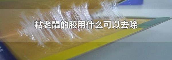 粘老鼠的胶用什么可以去除